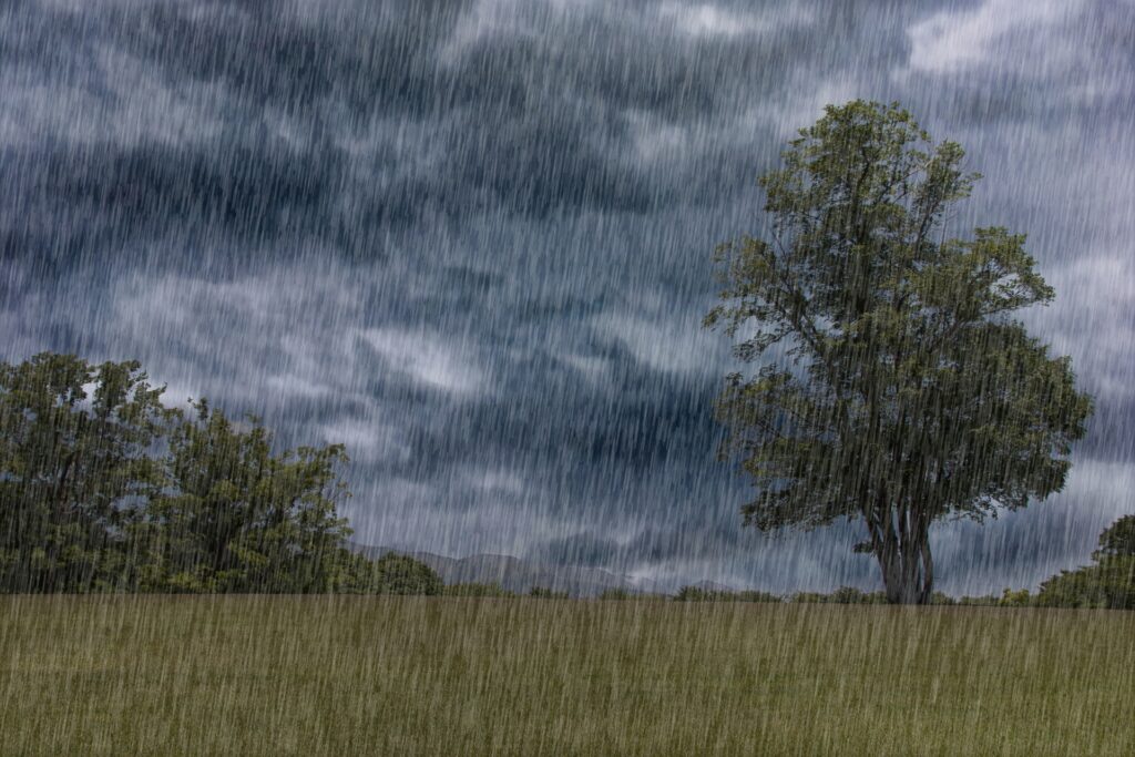 豪雨が降っている地域の写真