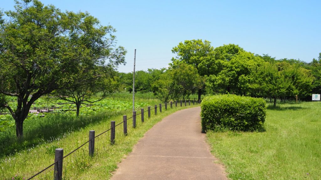 雑草が生えている場所