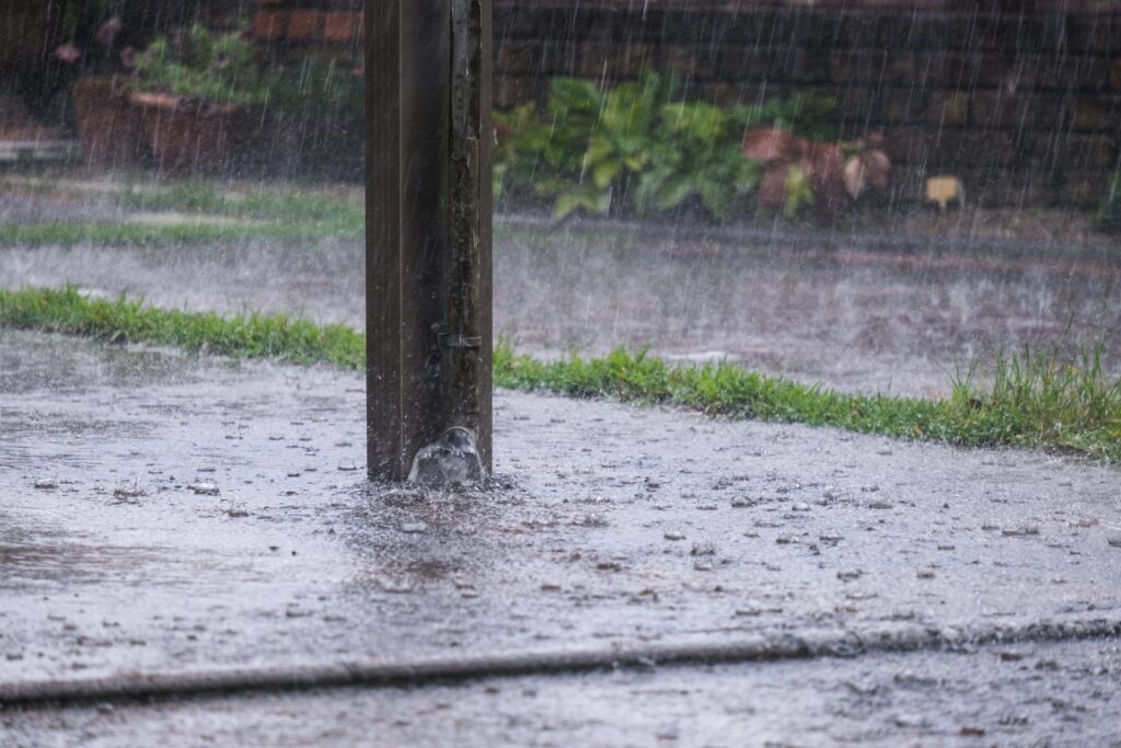 大雨の写真