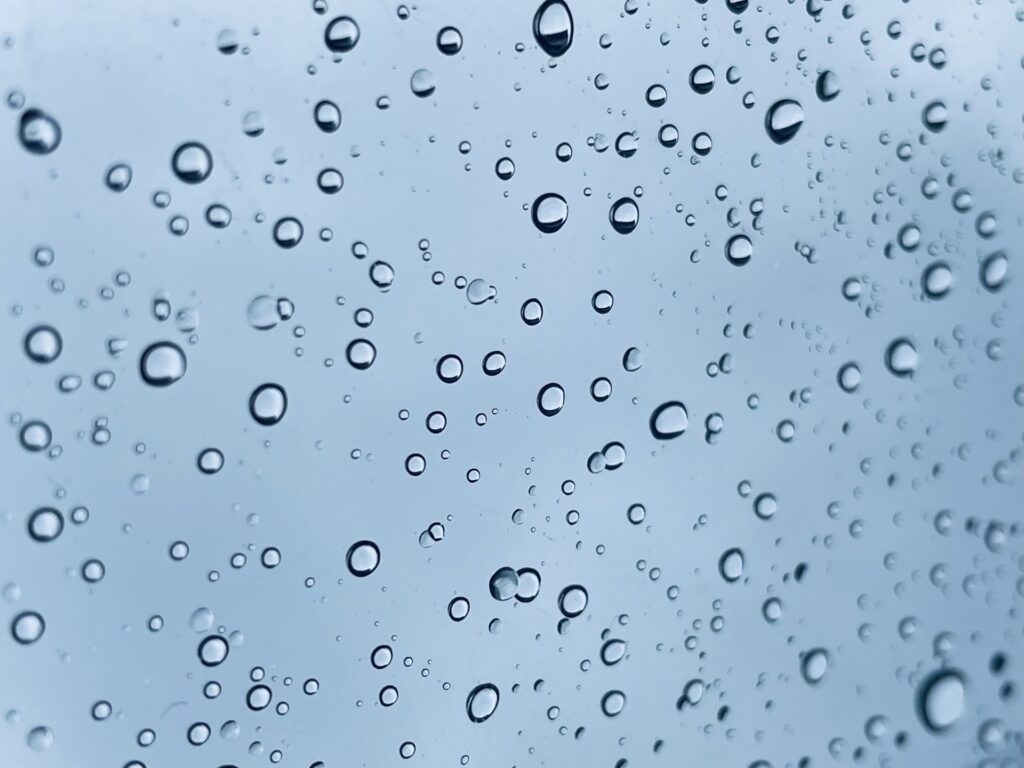 梅雨の写真