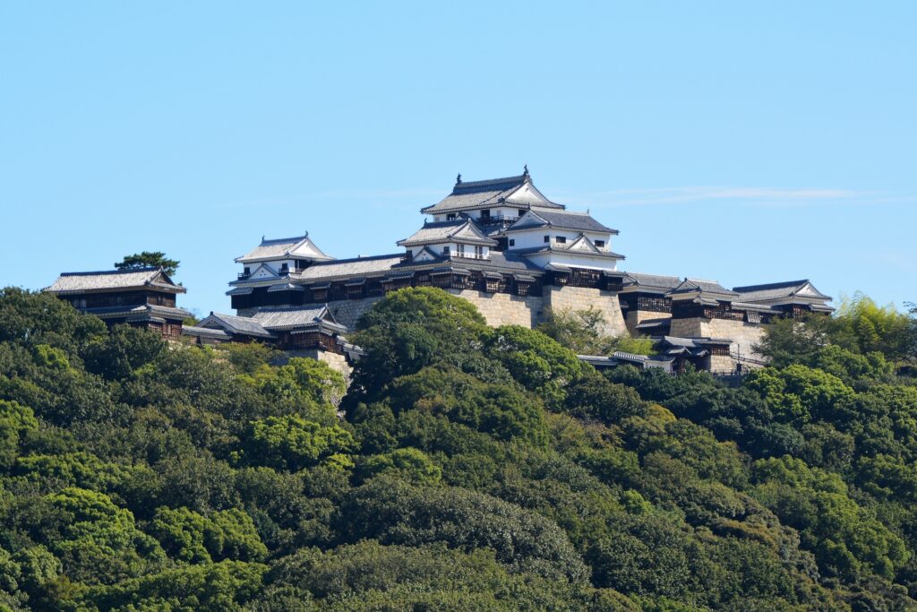 松山城を撮影した写真