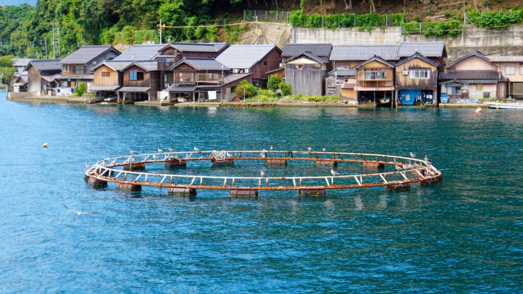 養殖場を撮影した写真