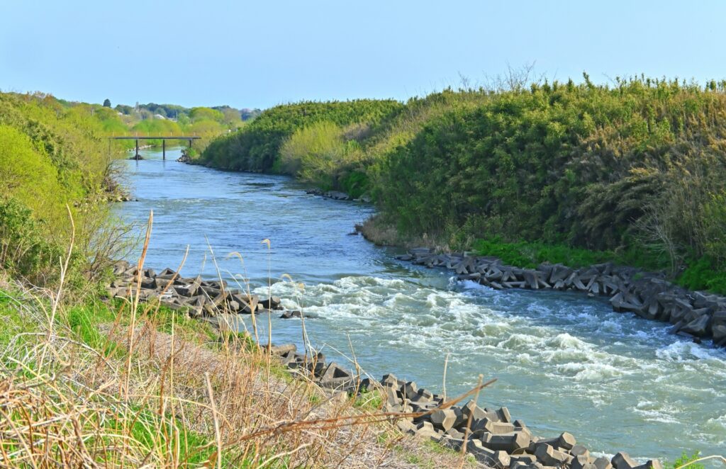 川を撮影した写真