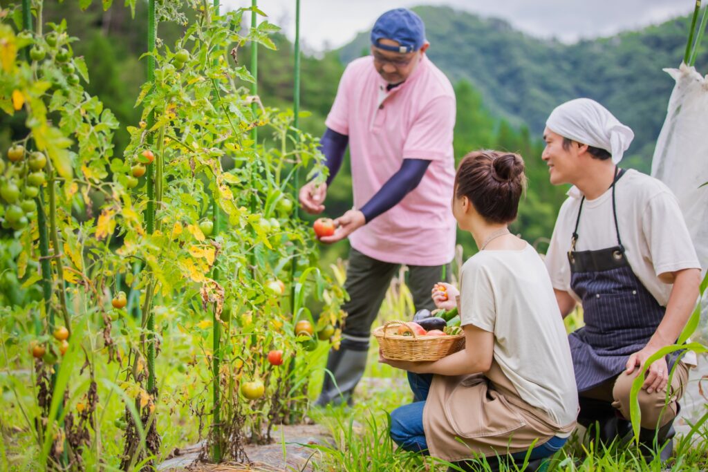 都心から地方へ移住している人