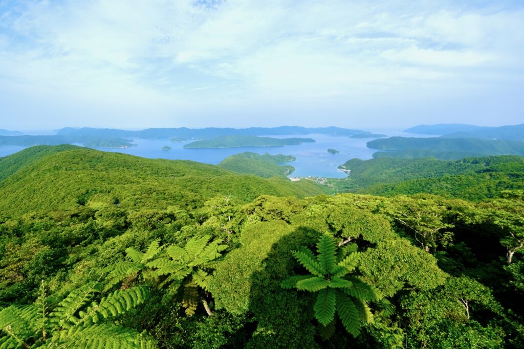 奄美大島の景色を撮影した写真