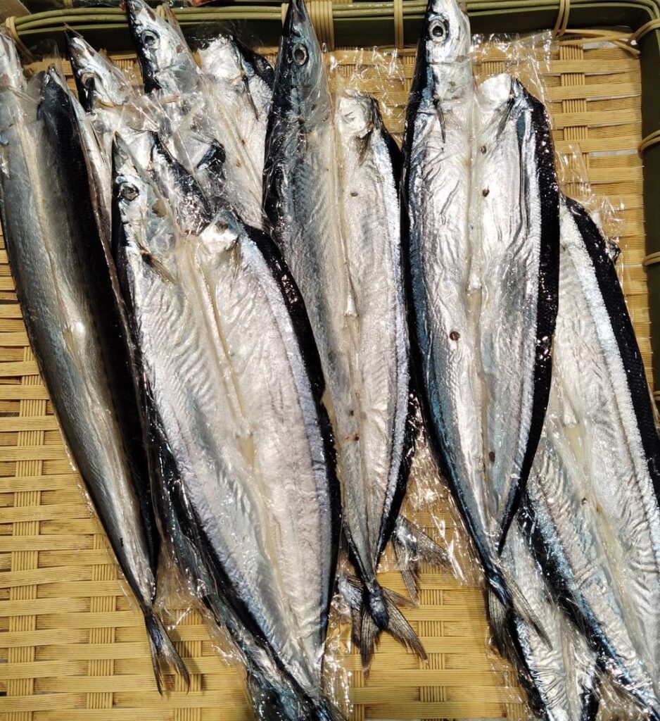 秋刀魚を食べている人