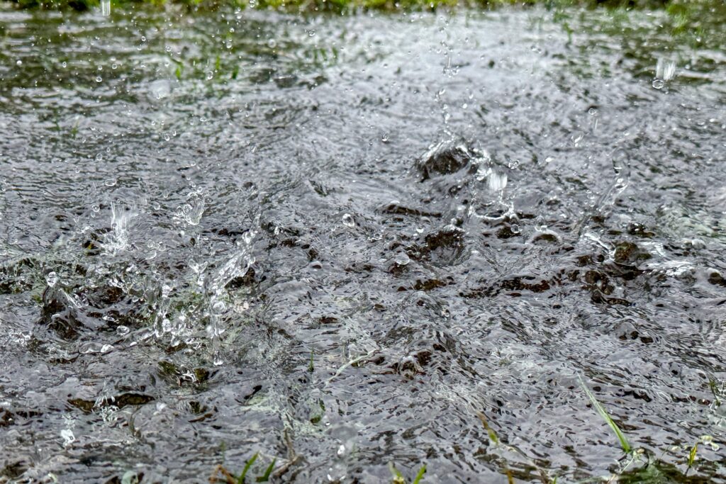 大雨の地域を撮影した写真