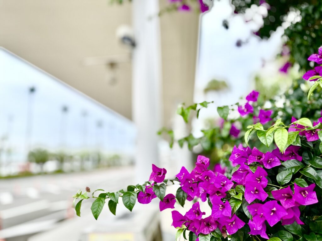 宮崎空港の外観を撮影した写真