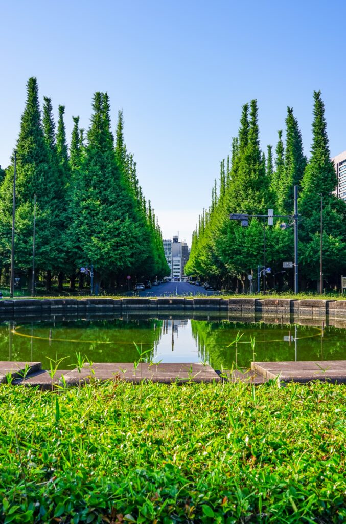 神宮外苑の森林を撮影した画像