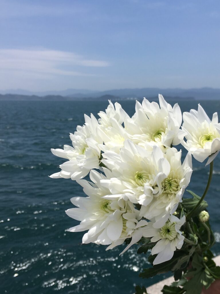 散骨している遺族