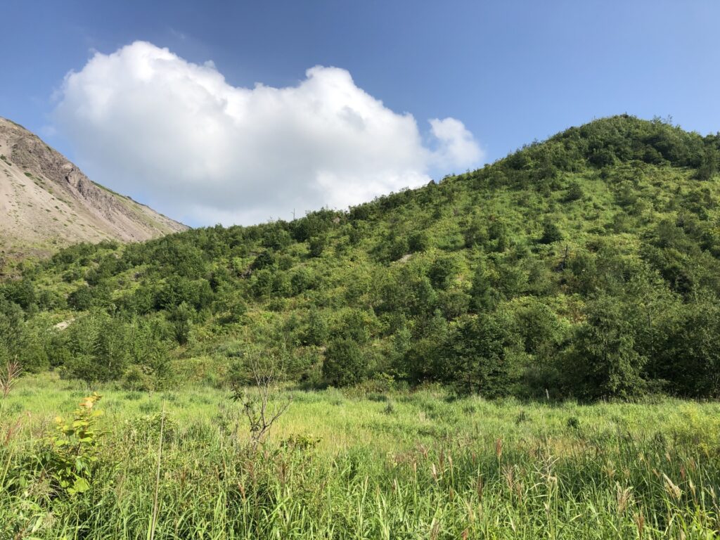 低山を撮影した写真