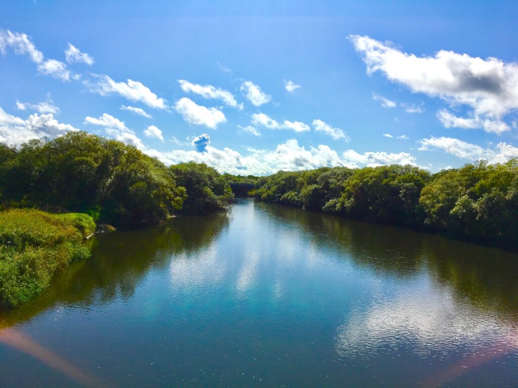 標津川の外観を撮影した写真