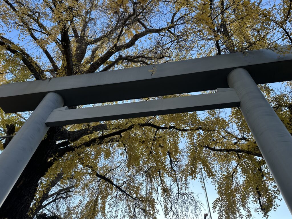 神社の鳥居を撮影した画像