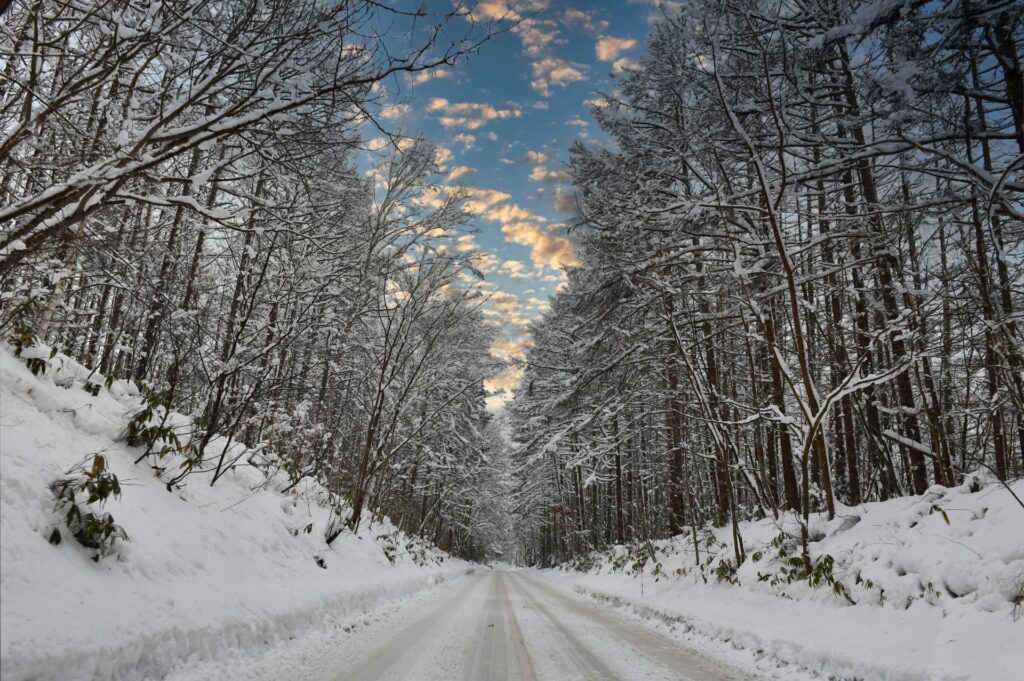 雪の景色を撮影した画像