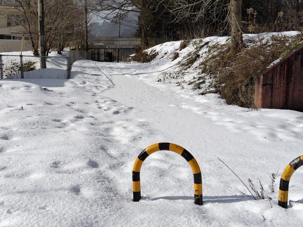 雪が積もっている景色の写真