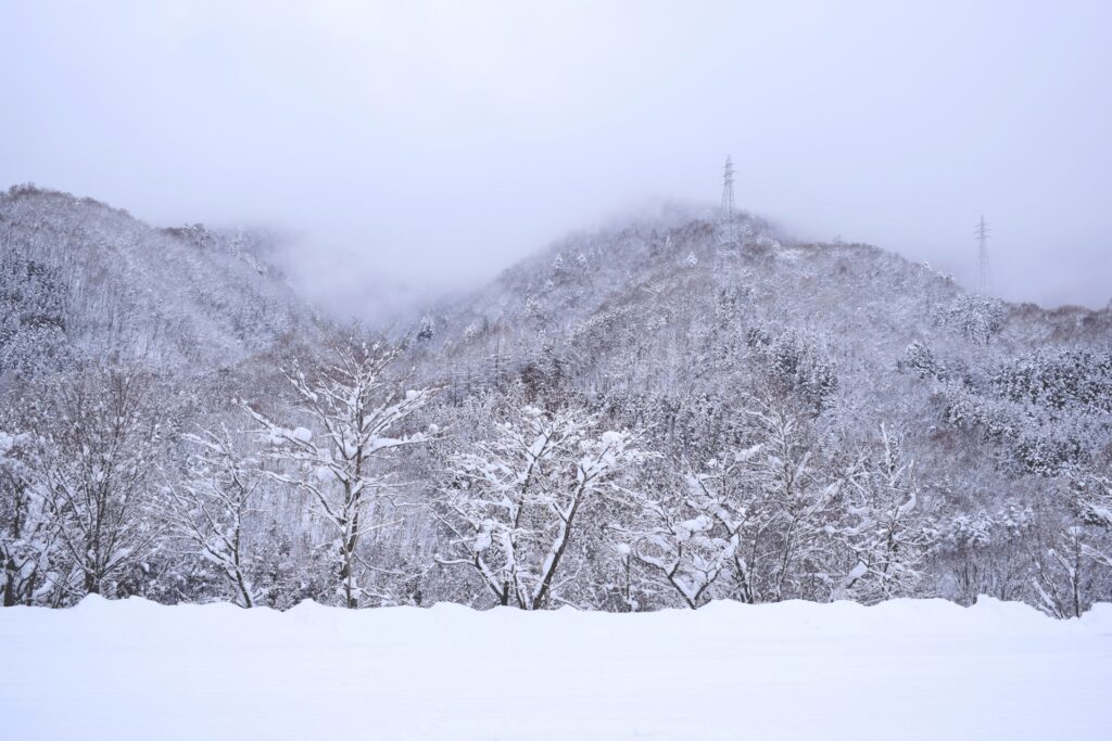 大寒波の雪景色を撮影した写真