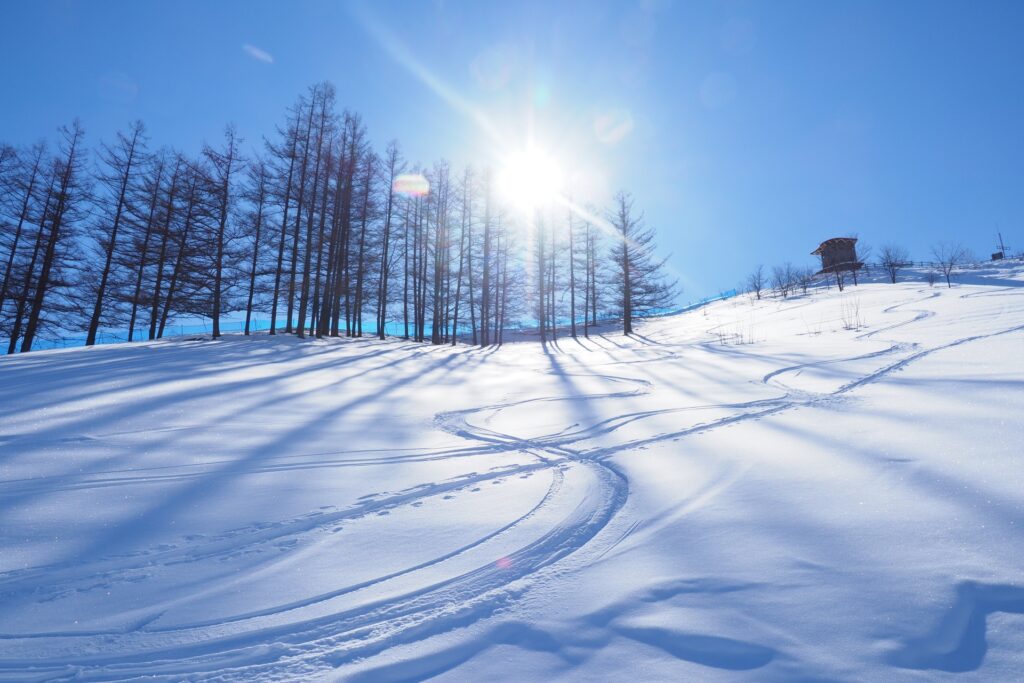 スキー場の外観を撮影した写真