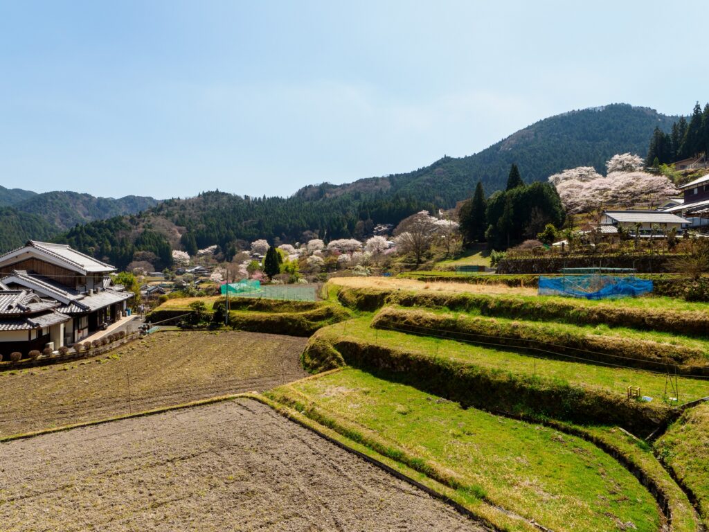 奈良県宇陀市の外観を撮影した画像