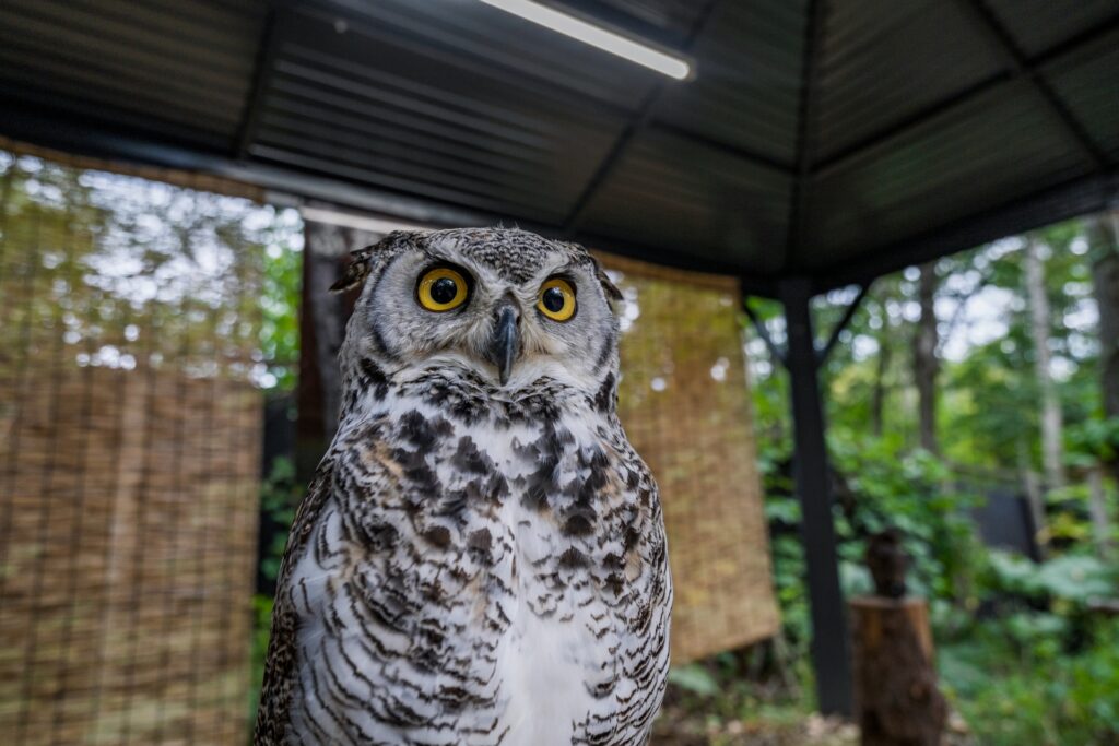 動物園を撮影した画像