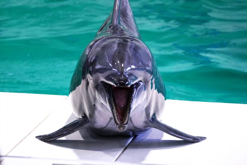 おたる水族館の外観を撮影した画像