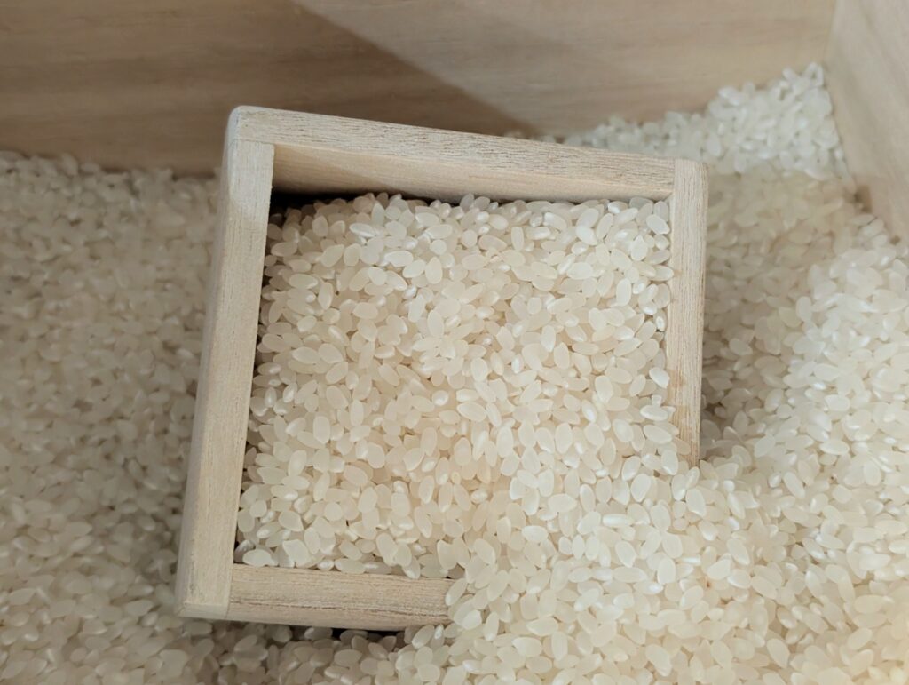 お米を撮影した画像