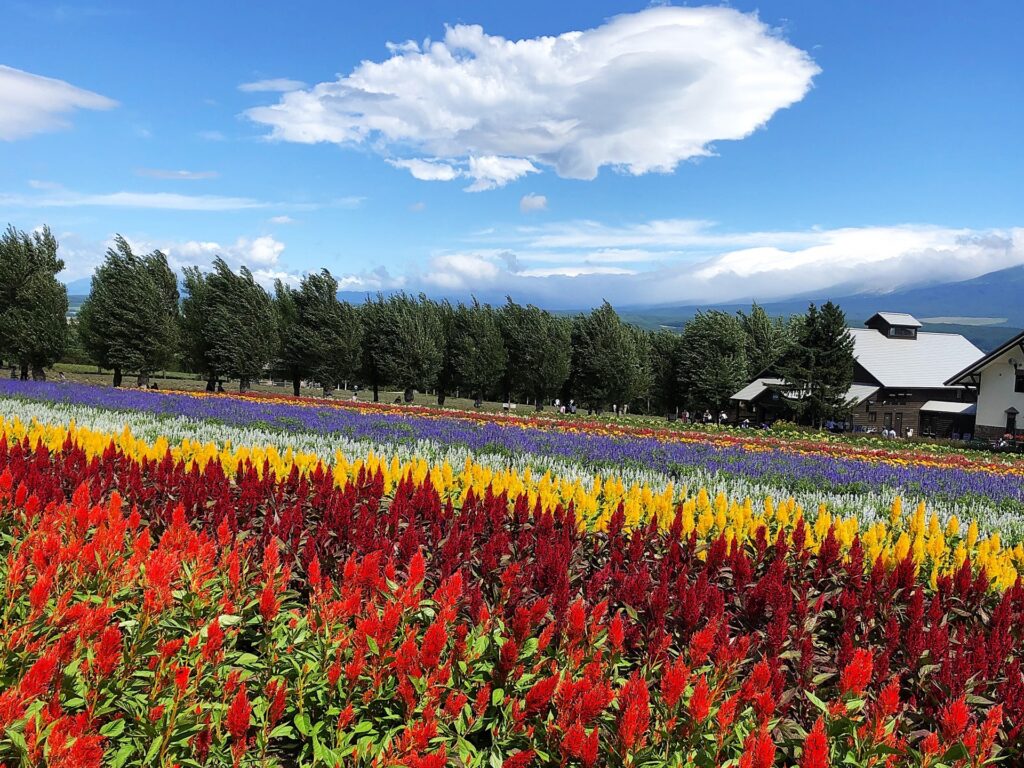 富良野市の外観を撮影した画像