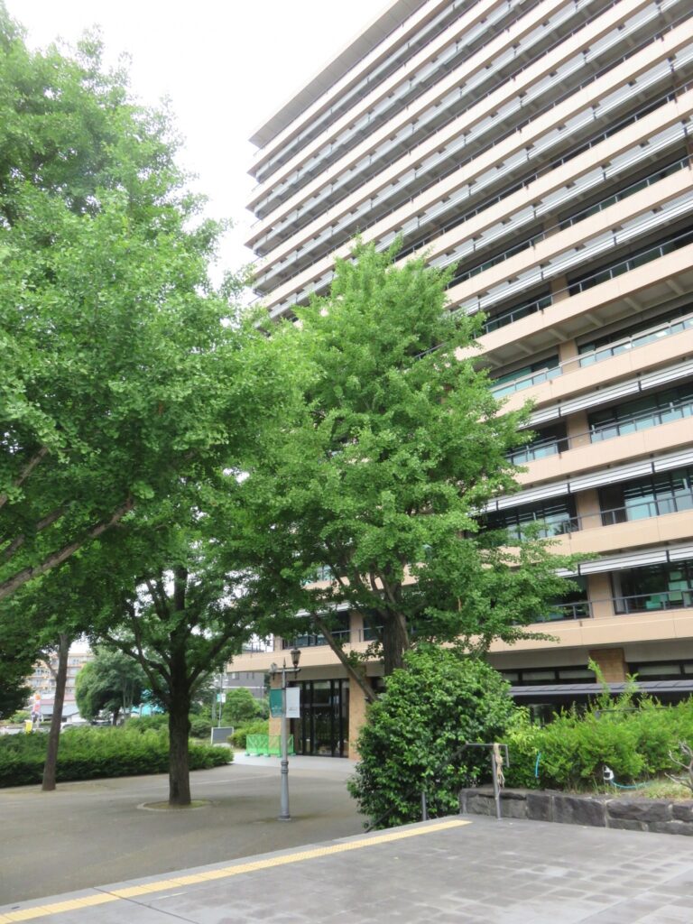熊本県庁の外観を撮影した画像